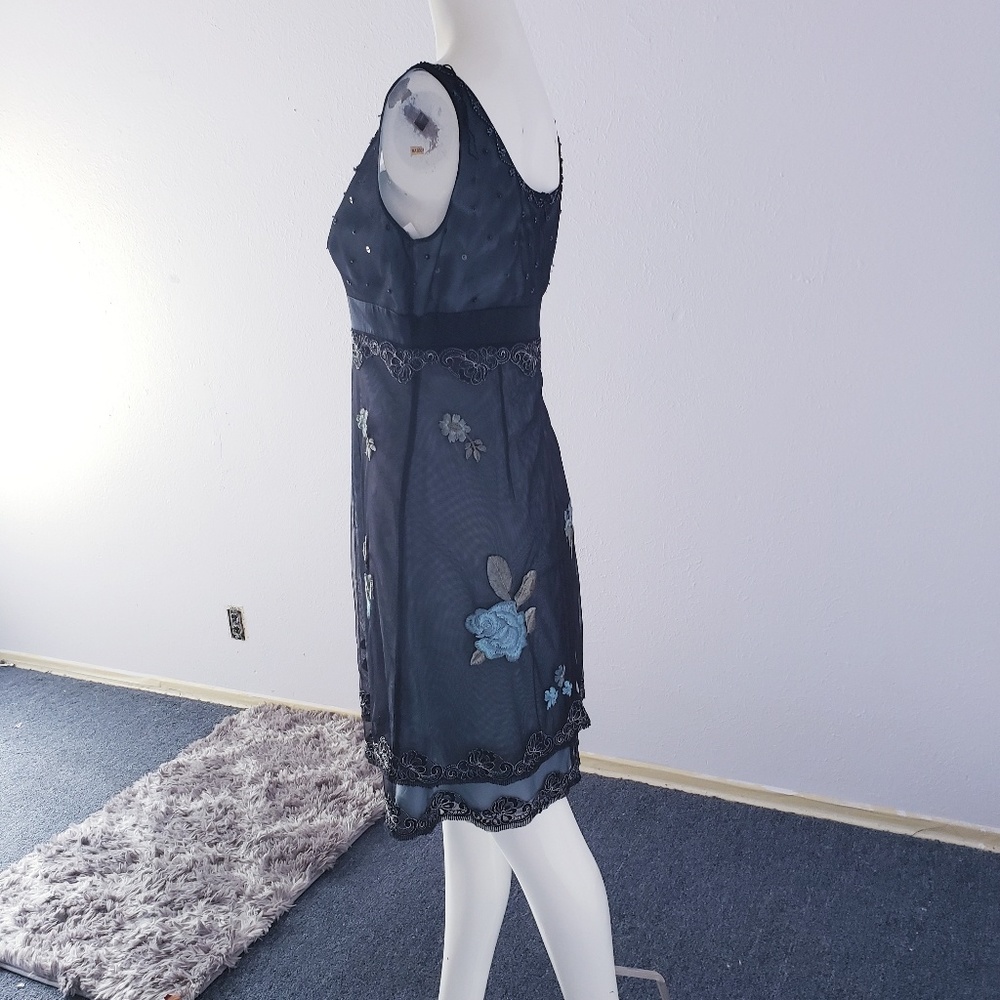 Sold Silk Boho Adrianna Papell Beaded Sheer Dress - Picture 4 of 8